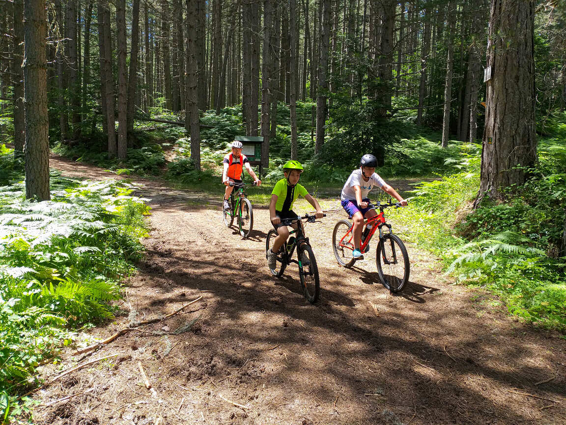 MTB in Sila